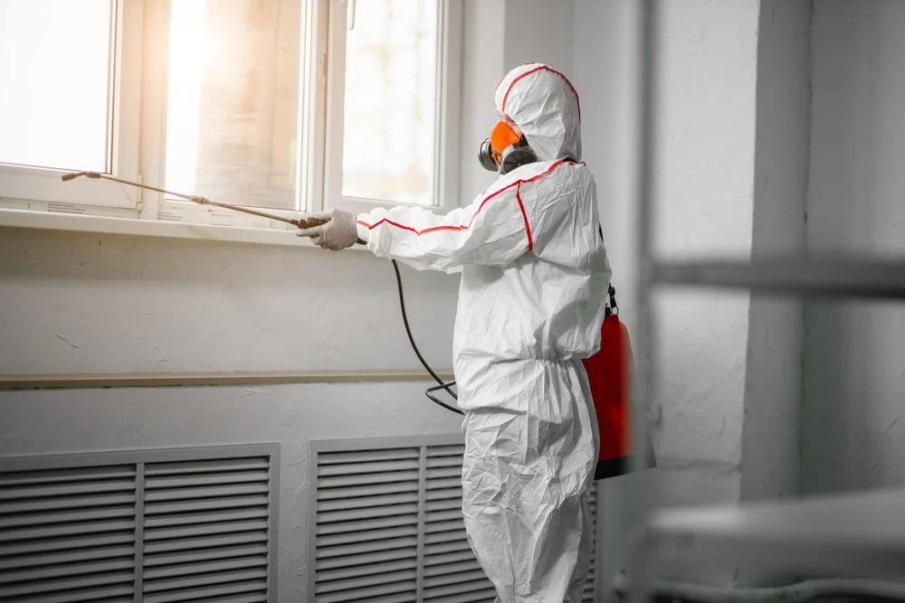 Professional mold remediation services in Mitchell, IN